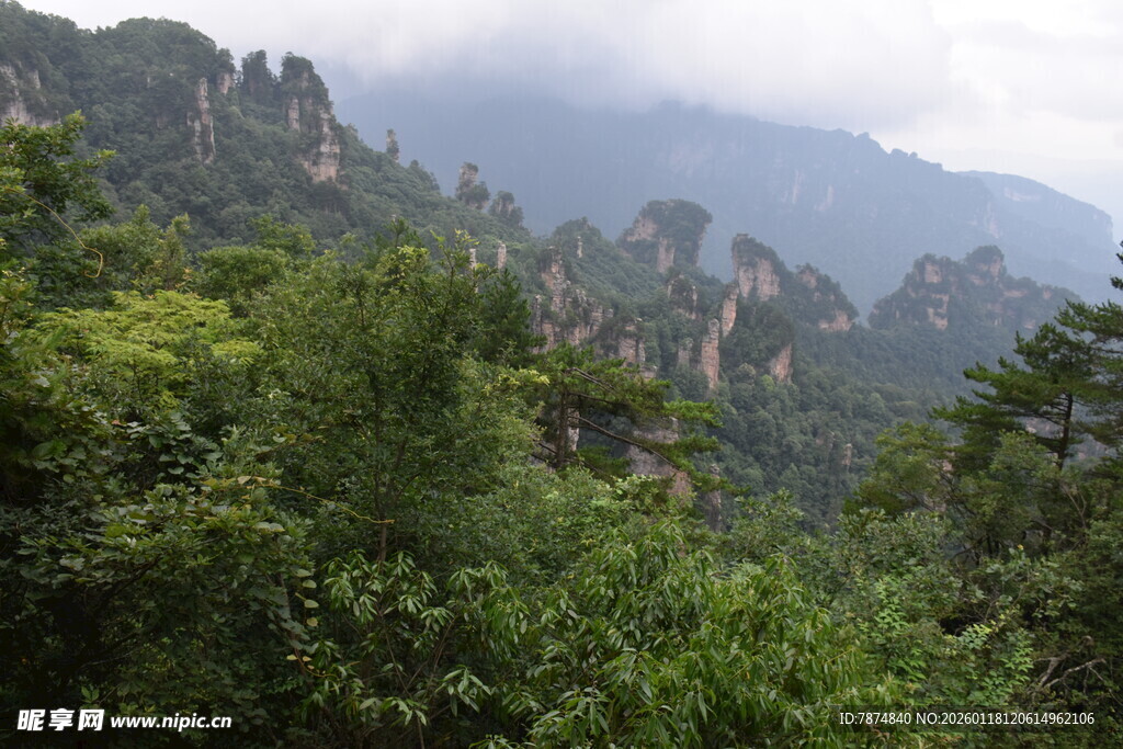 山峦叠翠间的绿意景致