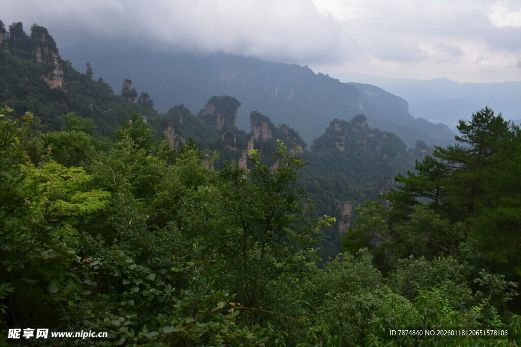 壮美山林景观