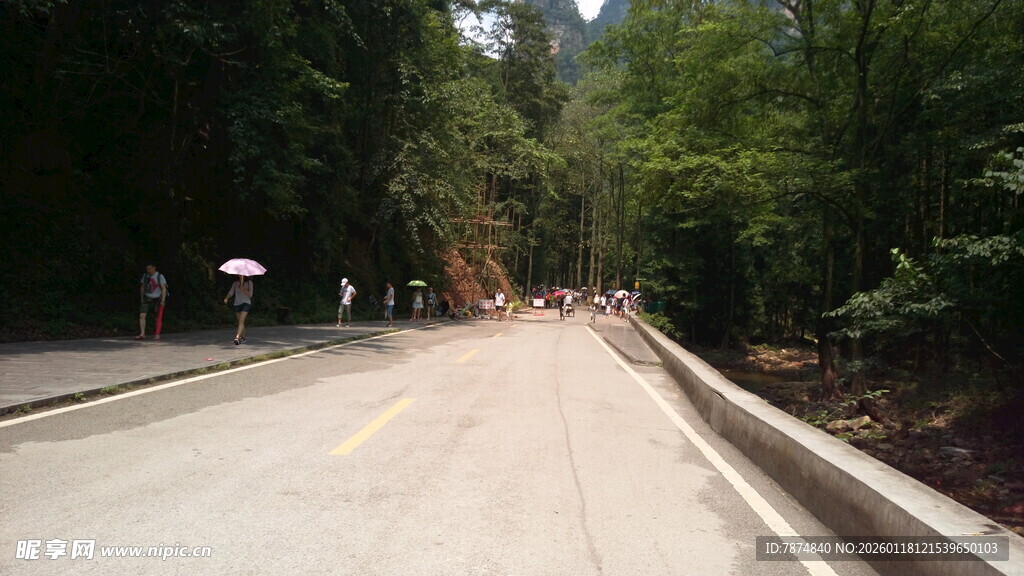 林间公路 漫步自然之径