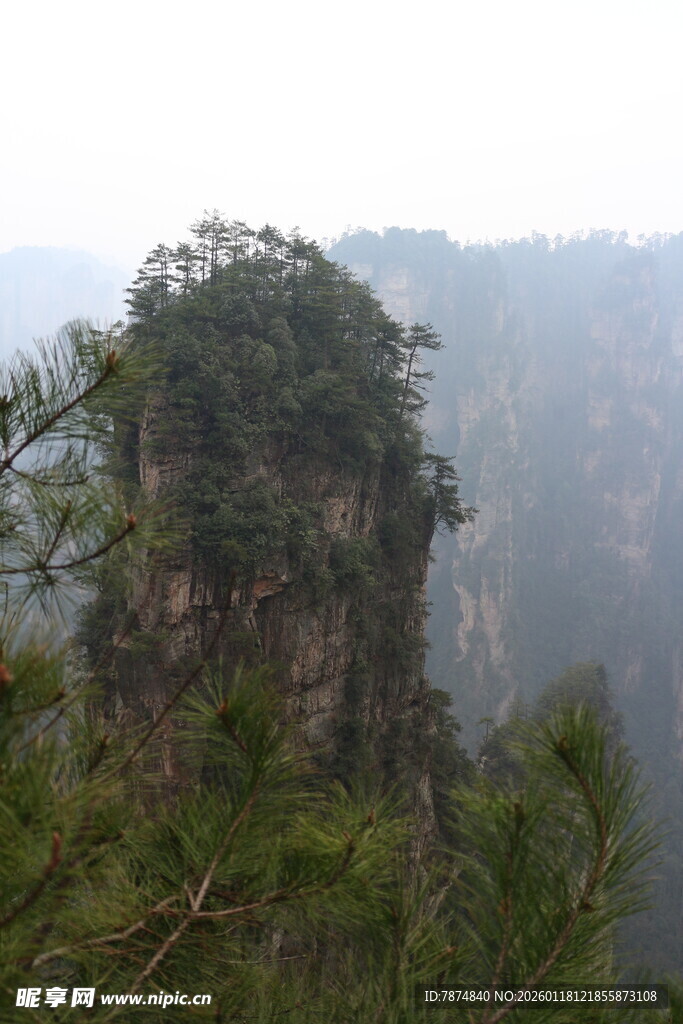 张家界奇峰 绿意盎然