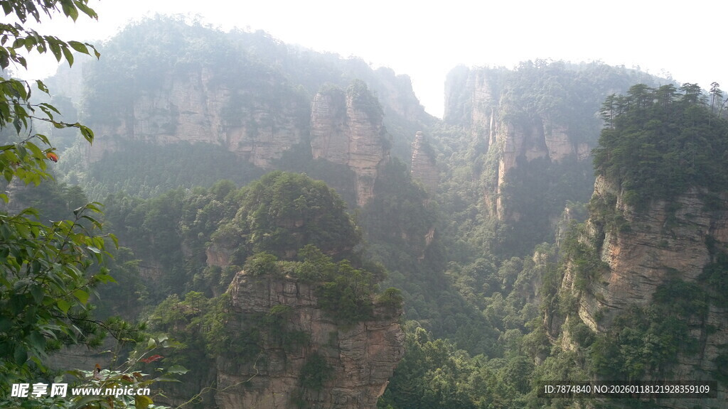 张家界奇峰美景