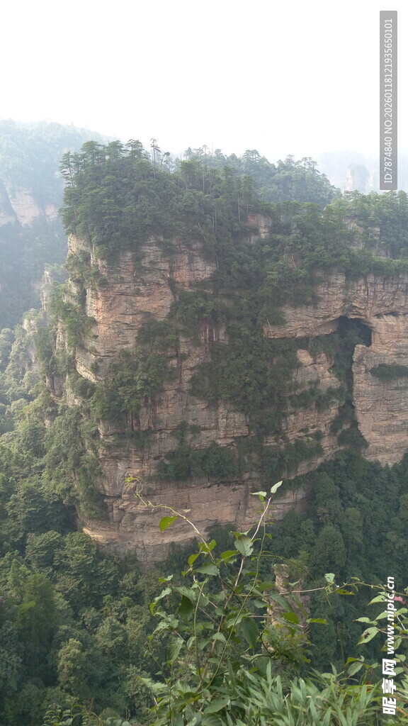壮丽山峰与繁茂植被景观