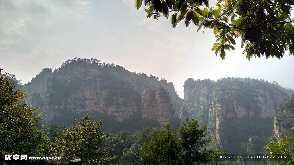 壮丽山峦与葱郁林木景观