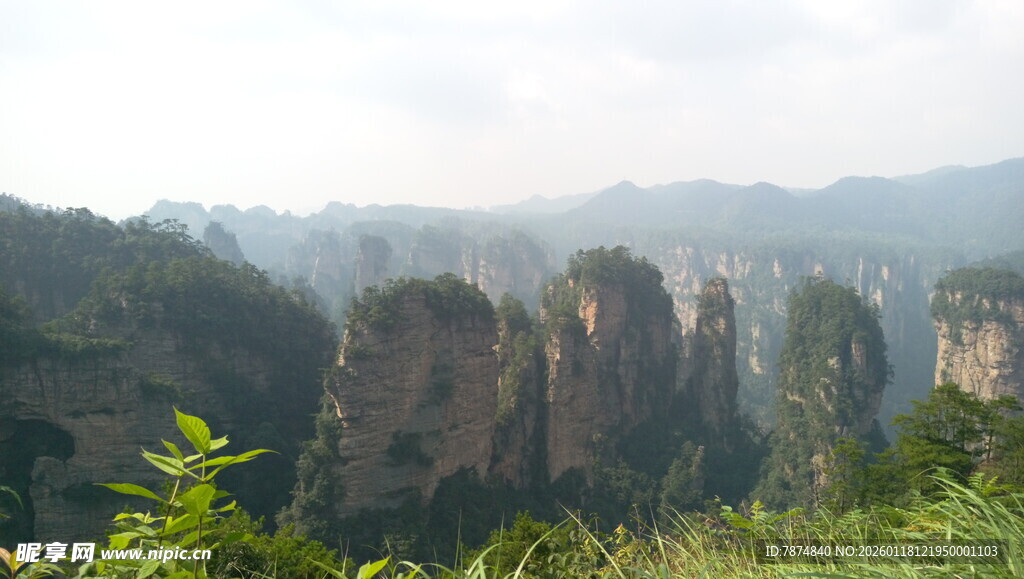 张家界奇峰美景