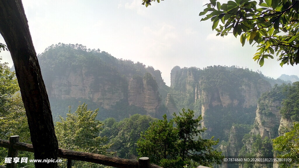 张家界奇峰美景