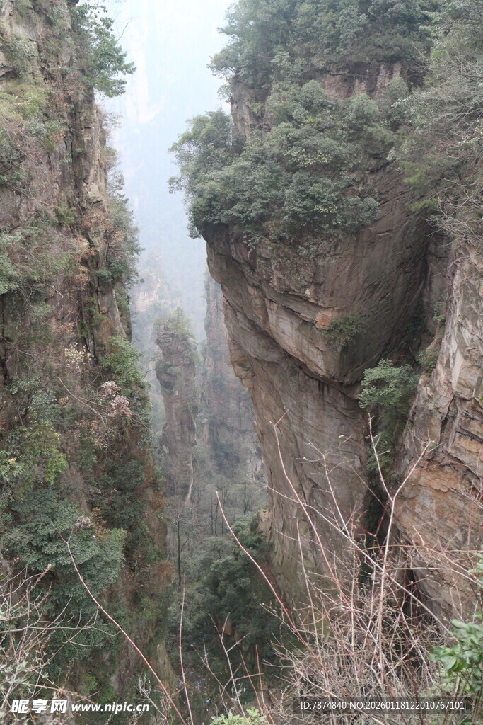 峡谷间的幽谧溪流景观