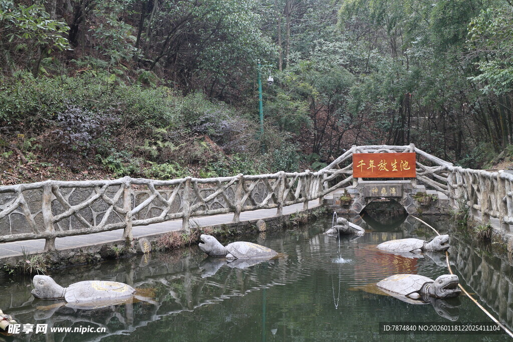 山间池塘与木质栈道景观