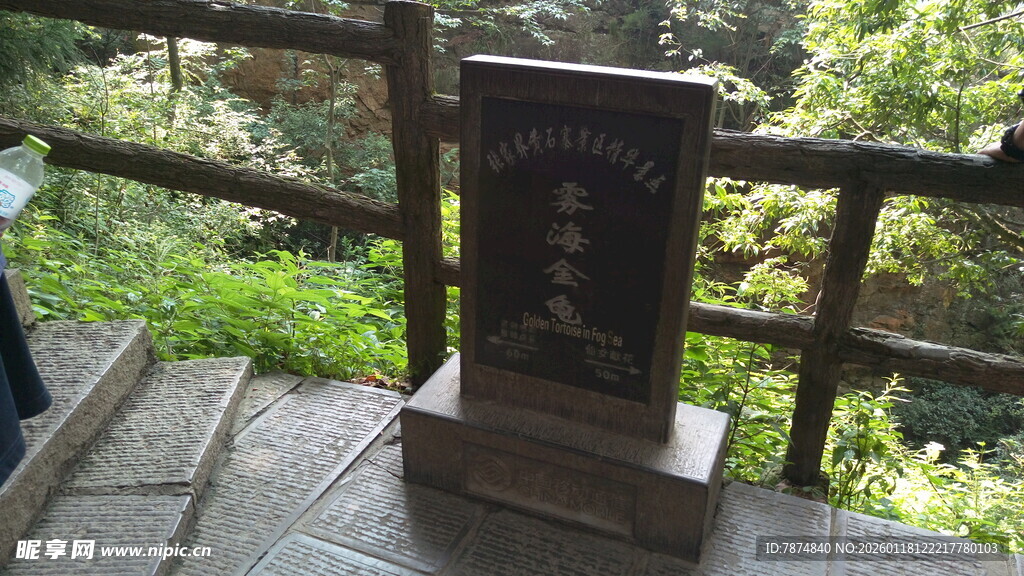 林中石碑 静谧景致