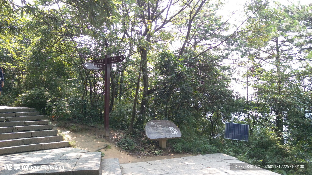 山林中的步道与指示牌