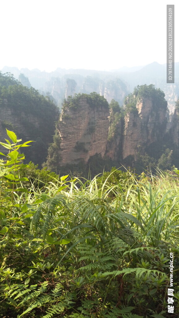 山林间的奇峻岩石景观