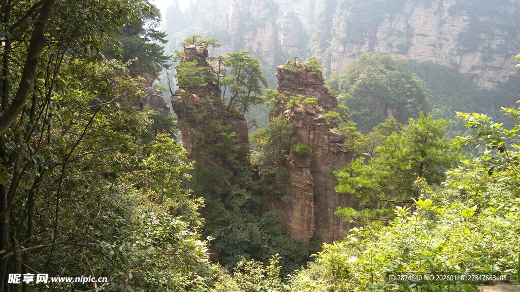 张家界奇峰的绿意之景