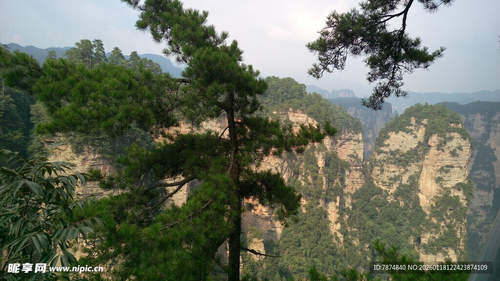 壮美奇峰间的葱郁山林