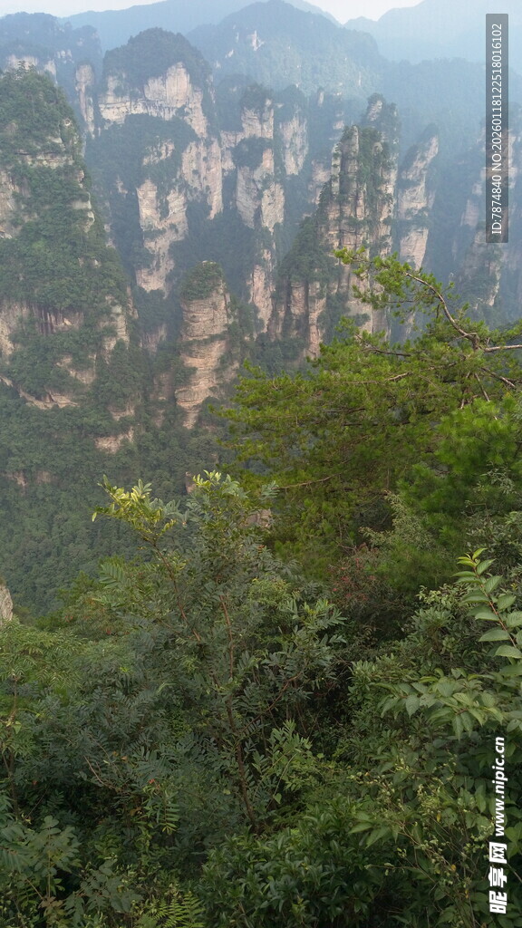 张家界奇峰异景
