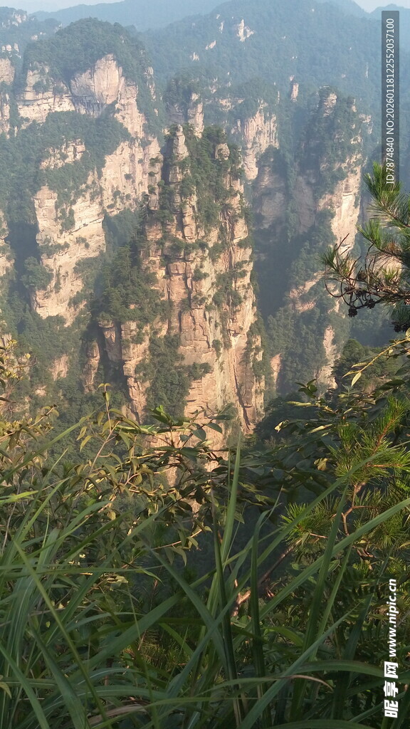 张家界奇峰美景