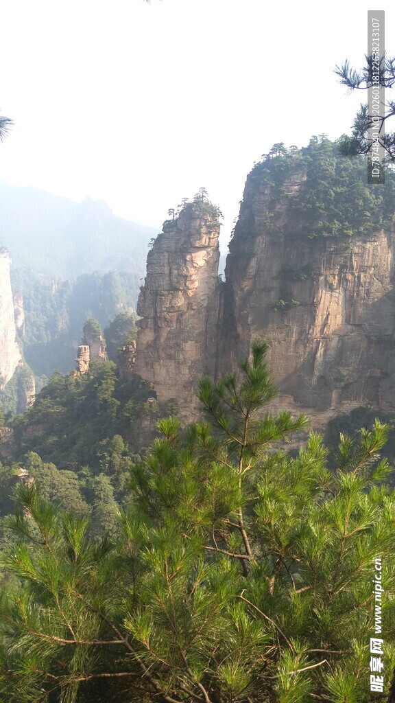 壮丽山景 绿意盎然