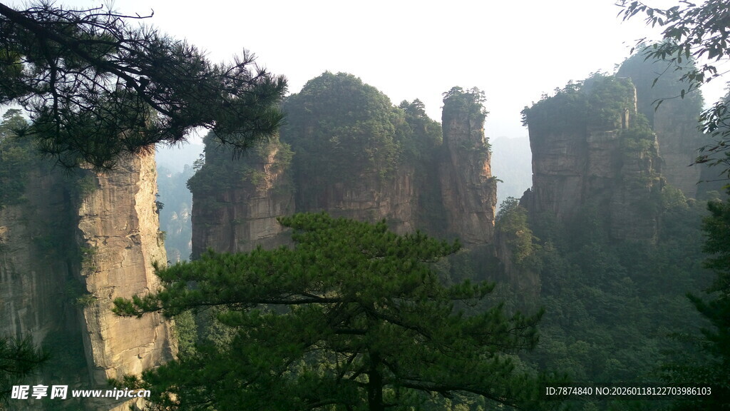 张家界奇峰异石景观