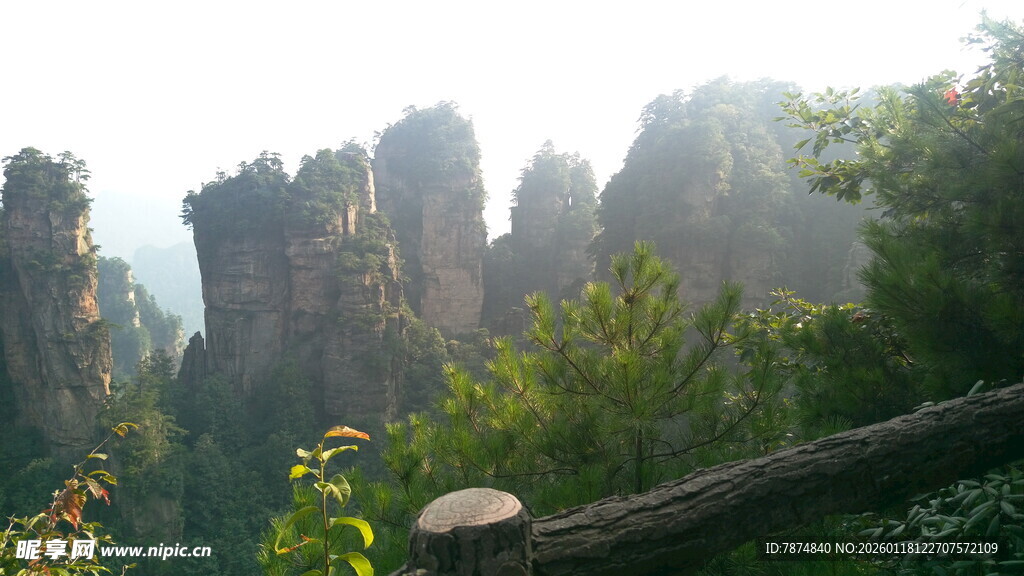 张家界奇峰美景