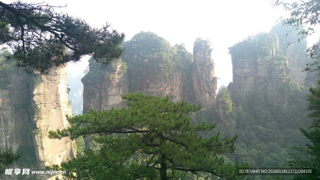 张家界奇峰异石景观