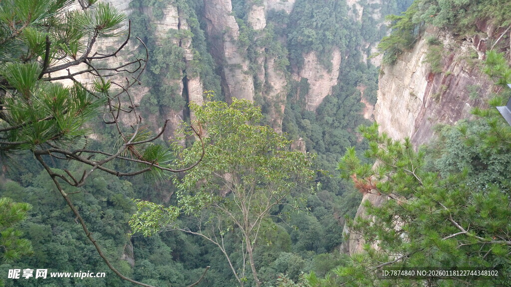 山林茂密的壮丽峡谷景观