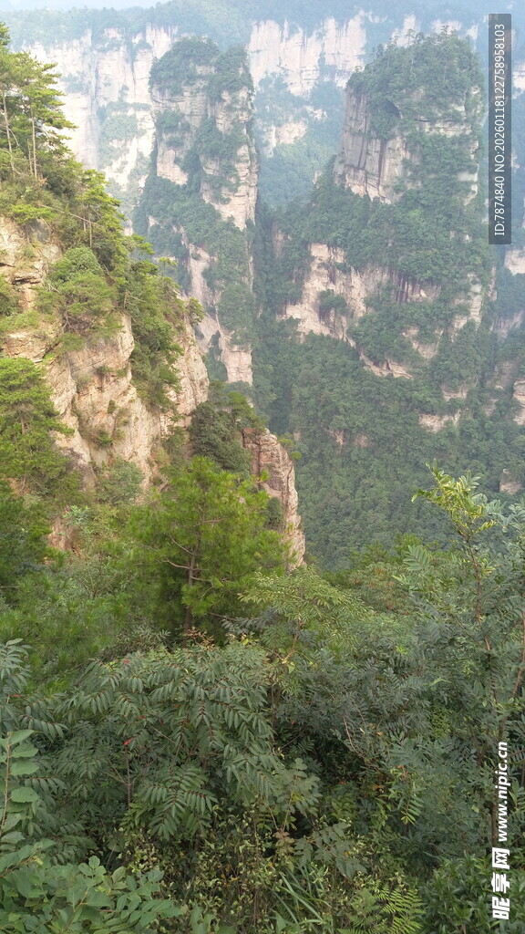 壮丽山峰与繁茂植被景观