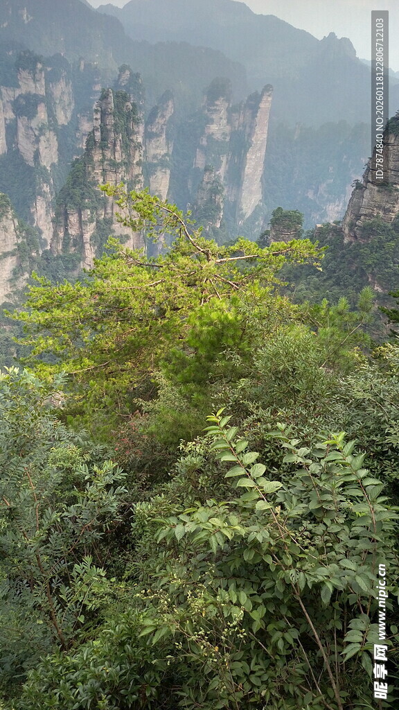 山间葱郁植被与奇峰