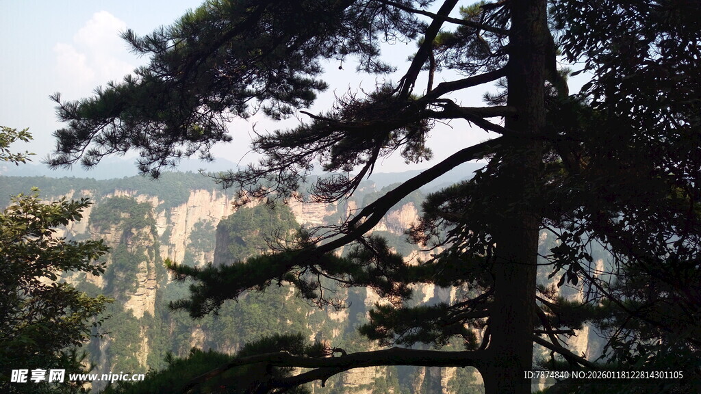 壮丽山林景观