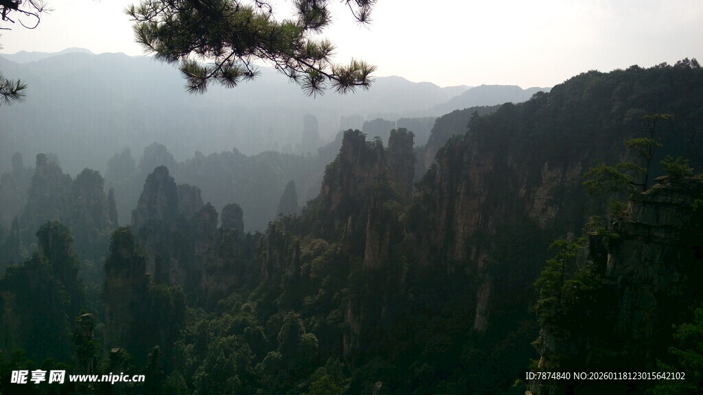 山林雾景 自然清幽之境