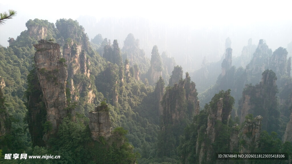 张家界奇峰美景
