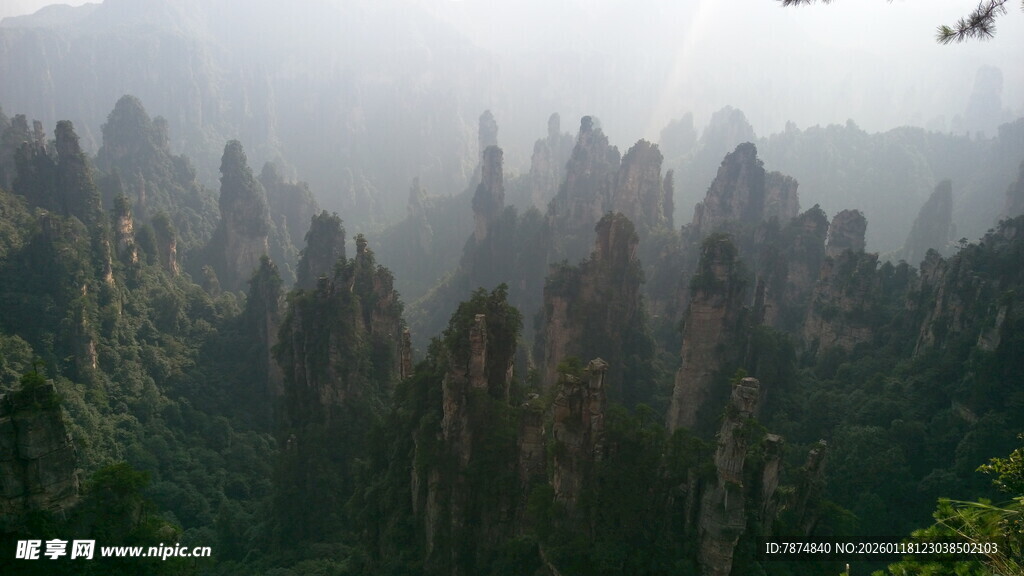 张家界奇峰林立美景
