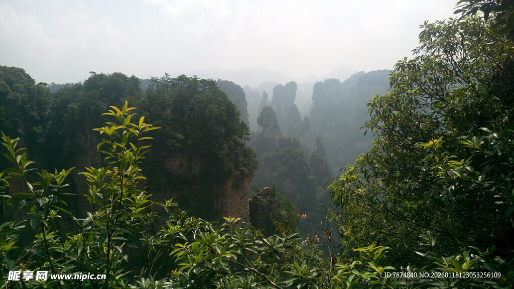 张家界奇峰异林景观