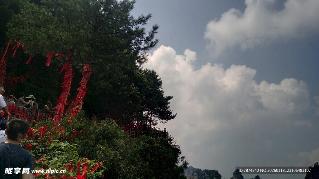 繁花绿树间的天空景致