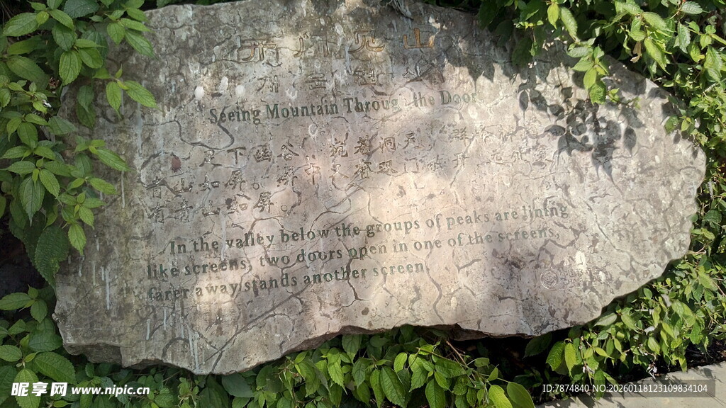 刻字石碑被绿植环绕