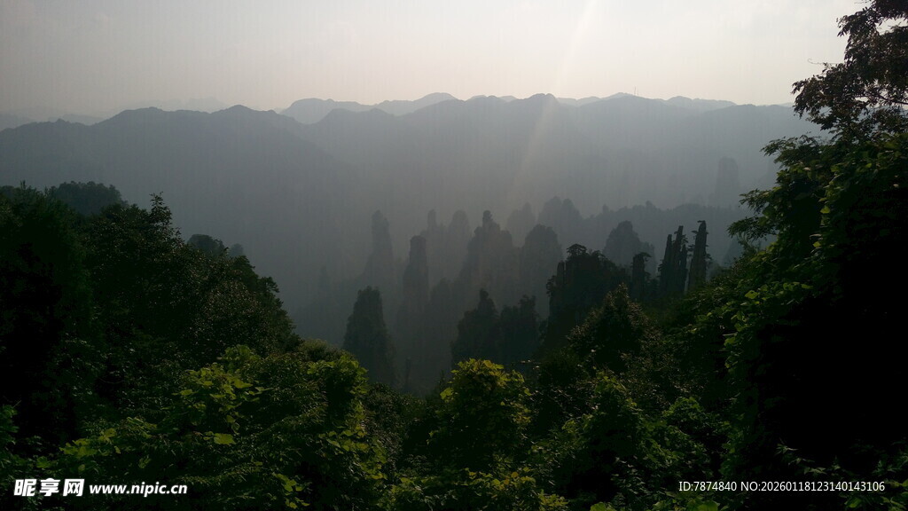 山林晨雾美景