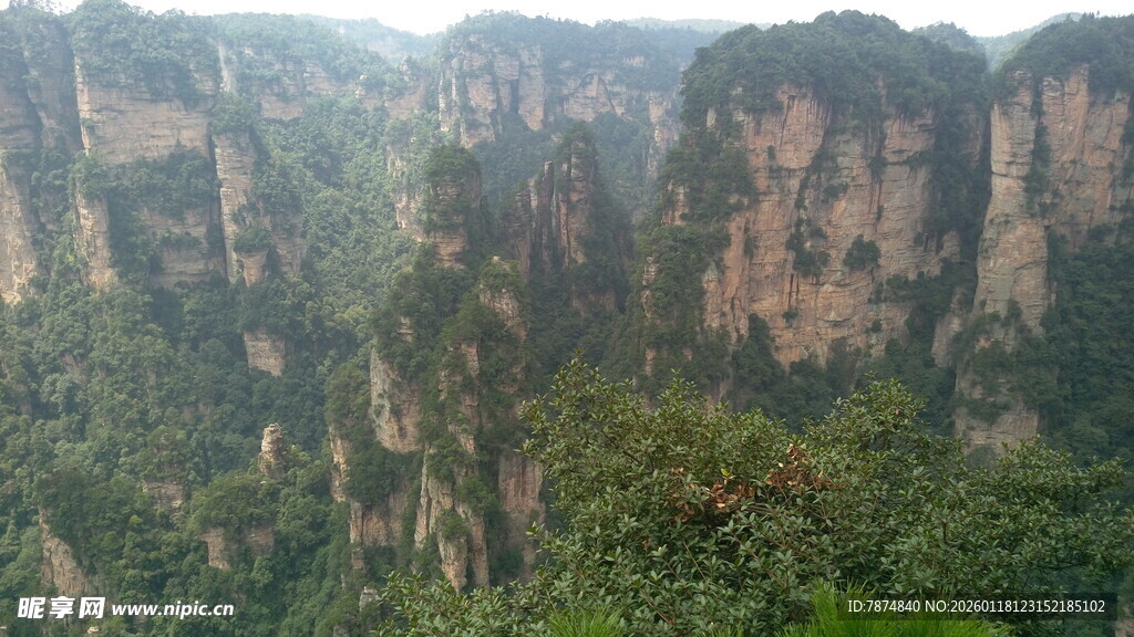 壮丽张家界奇峰景观
