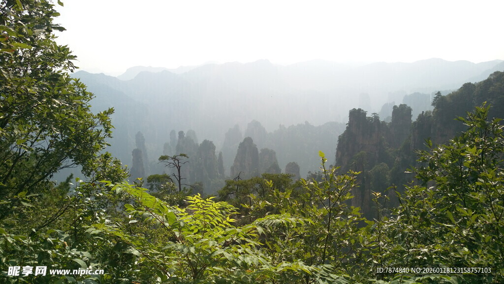 张家界奇峰异景