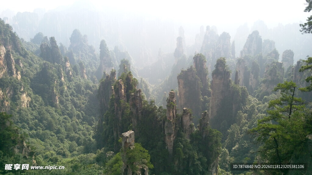 张家界奇峰美景