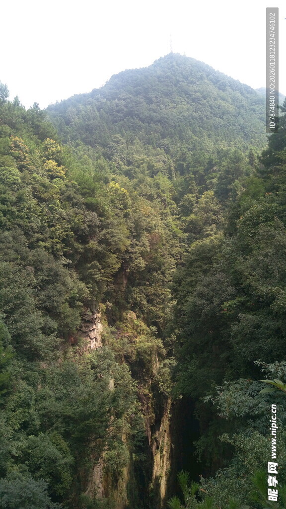 山间葱郁峡谷美景
