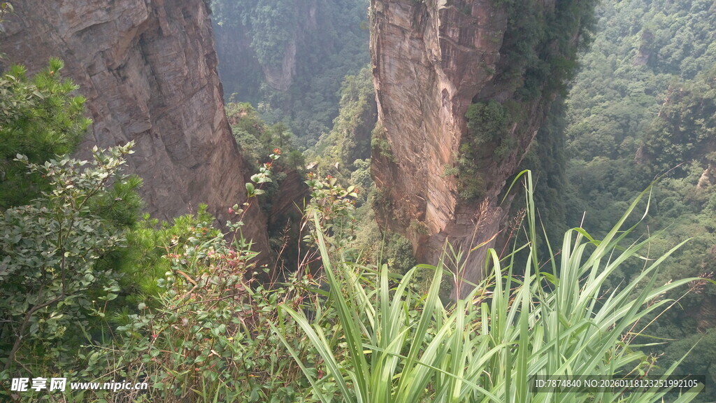 山间奇峰异石与绿植景观