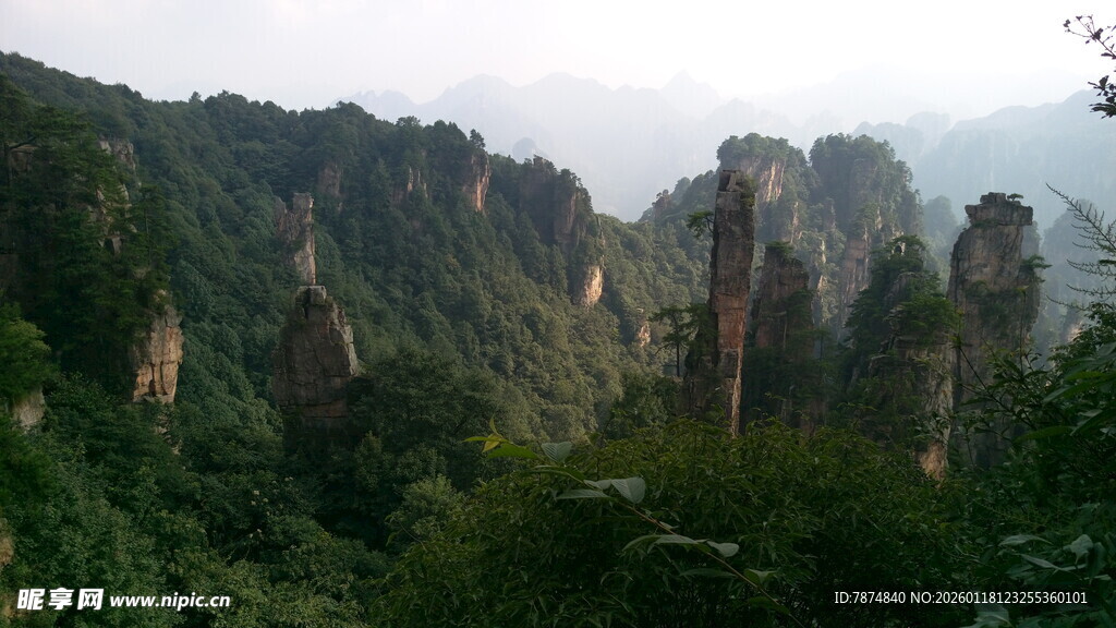 张家界奇峰林立美景