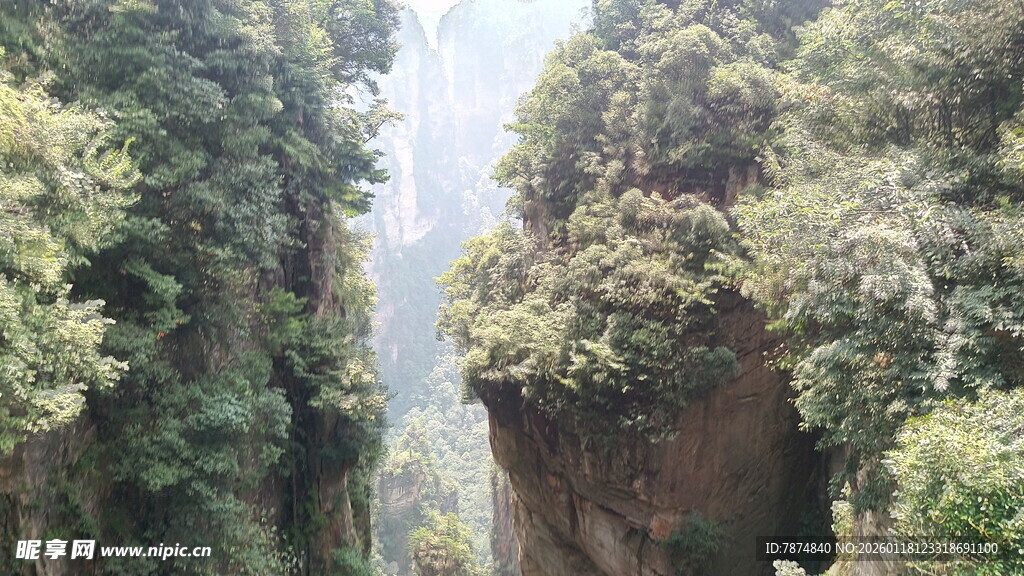 峡谷间繁茂山林景观