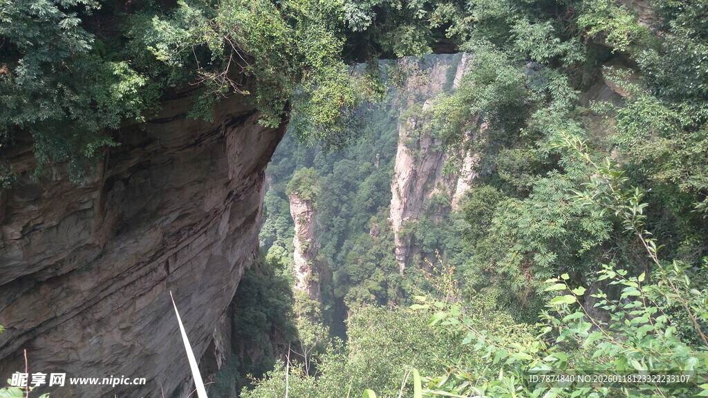 山间峡谷绿意盎然