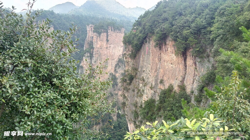 壮丽山景 峭壁绿植相映