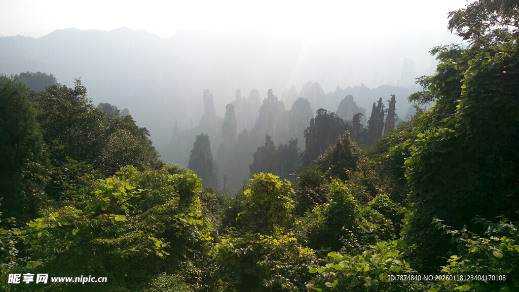 山林晨雾景观