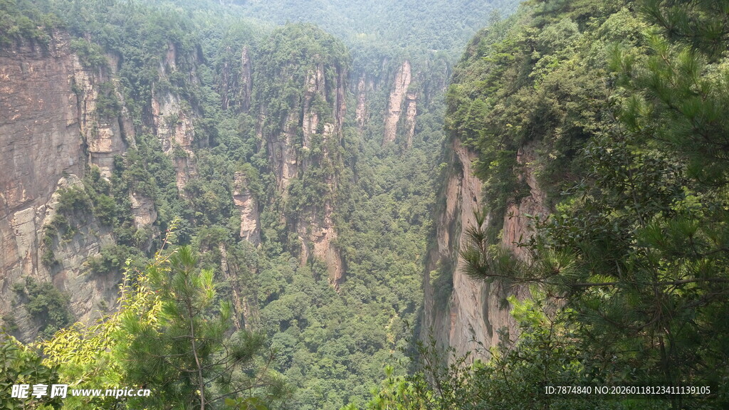 壮丽峡谷风光
