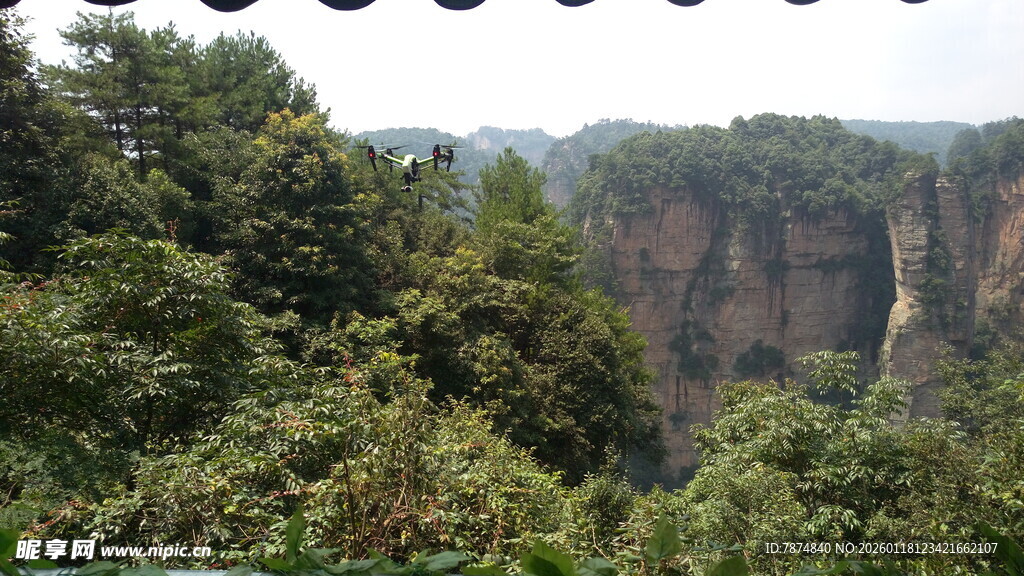 壮丽山林景观