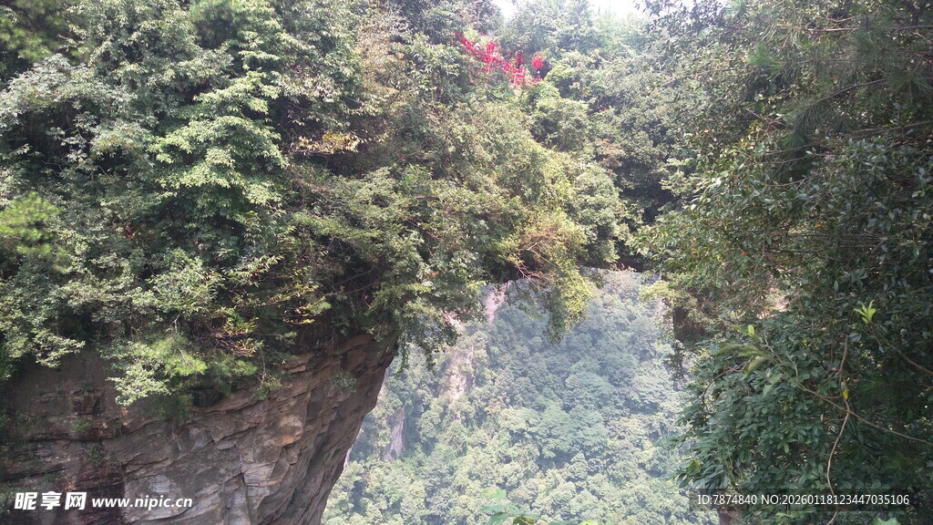 山间绿意盎然的峡谷景色
