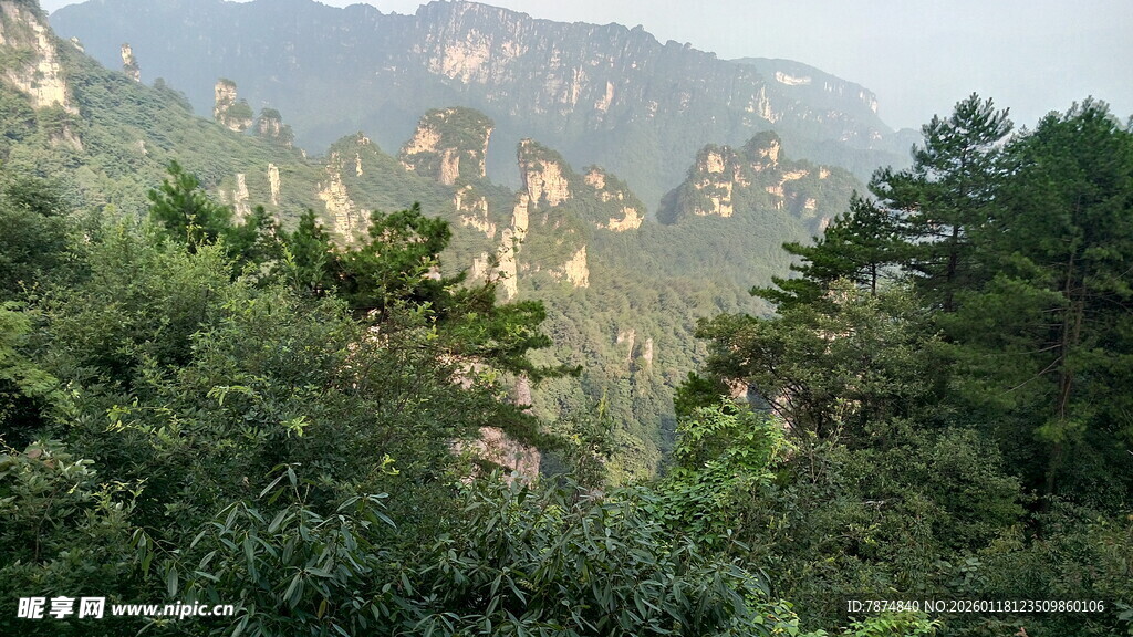壮丽山景 葱郁山林
