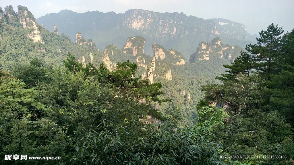 壮美山林景观