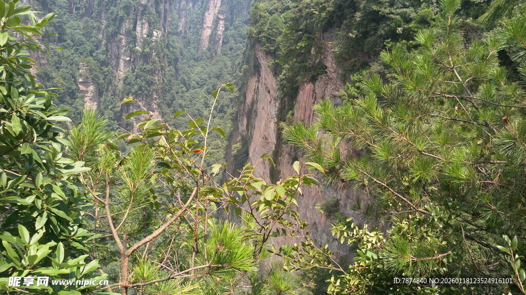 山间葱郁植被与嶙峋岩壁