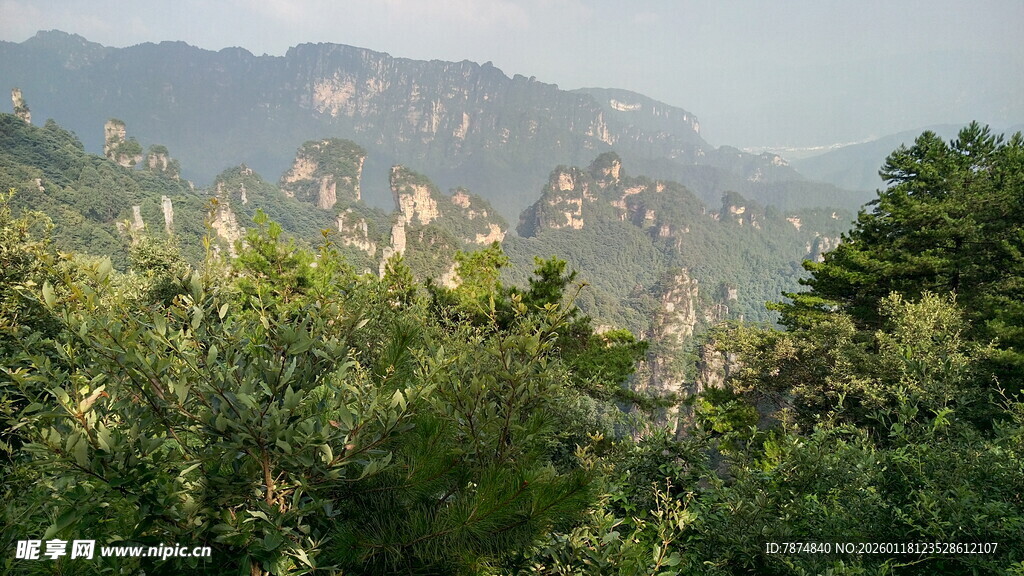 山峦间葱郁树林美景